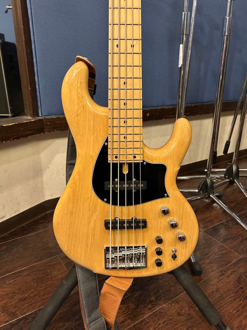 ベース dragonfly CS-5