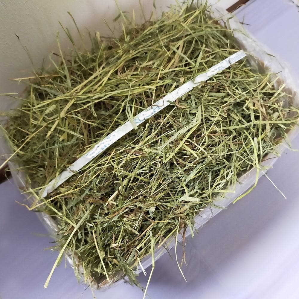 【処分価格】US産 チモシー 50kg ２番刈 ソフトSプレミアム
